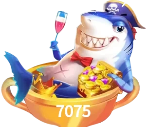 7075